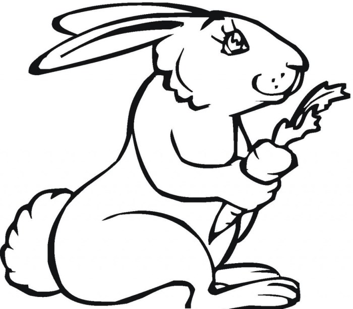 Free bunny coloring pages for kids