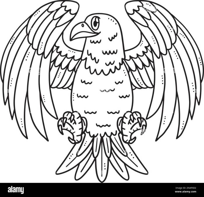 Eagle coloring page for kids