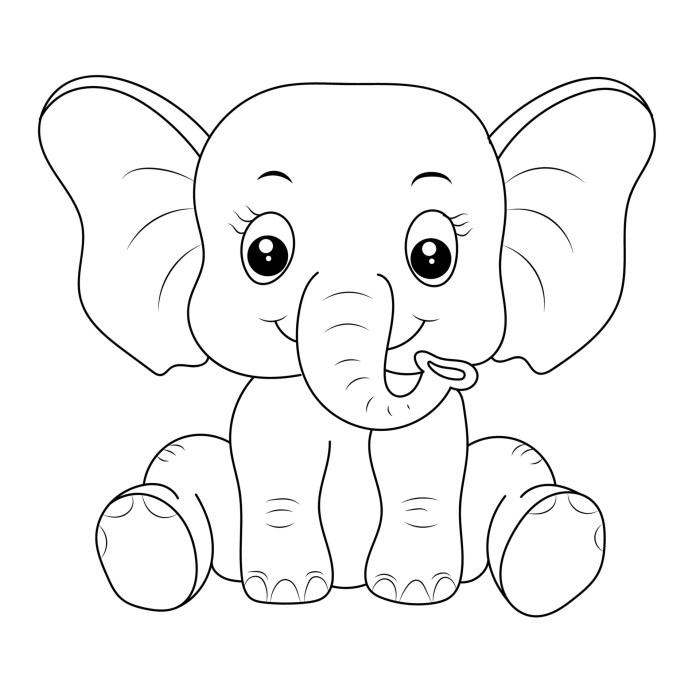 Elephant coloring pages for kids