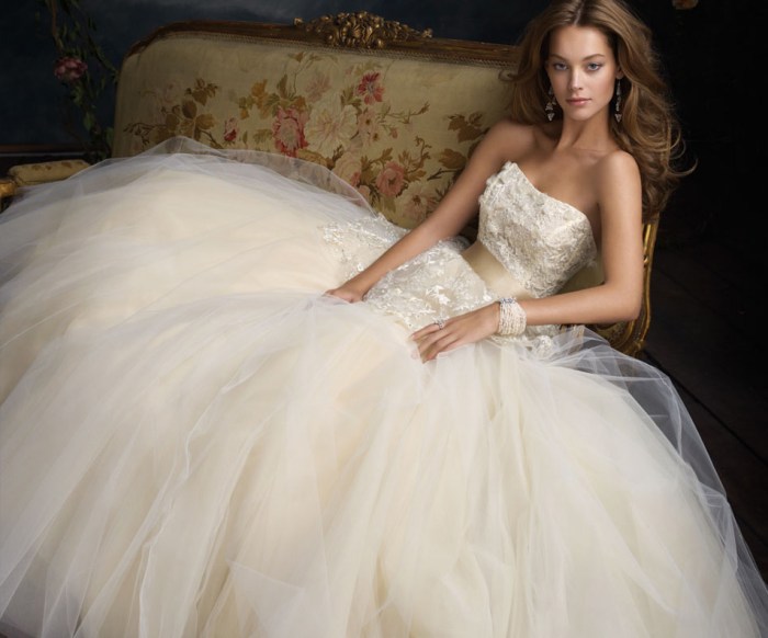 Wedding Dresses with Tulle A Comprehensive Guide