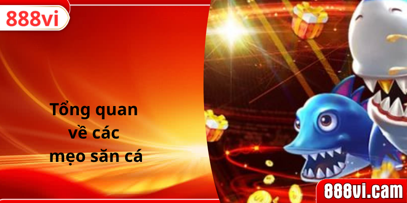 Tổng quan về các mẹo săn cá