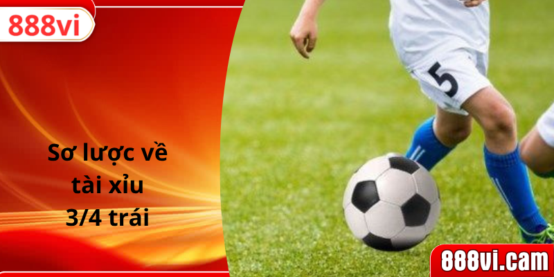 Sơ lược về tài xỉu 3/4 trái