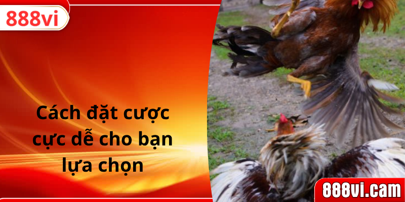 Cách đặt cược cực dễ cho bạn lựa chọn