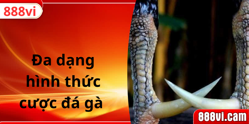 Đa dạng hình thức cược đá gà 