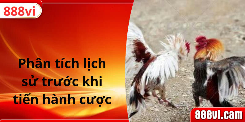 Phân tích lịch sử trước khi tiến hành cược