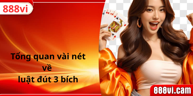 Tổng quan vài nét về luật đút 3 bích